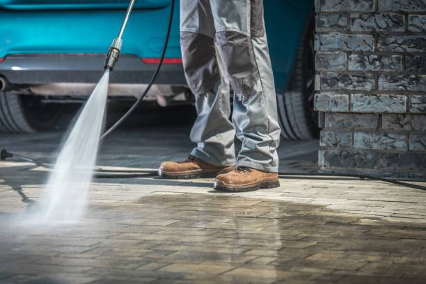 Best Sidewalk and Walkway Cleaning  in Berwyn Heights, MD
